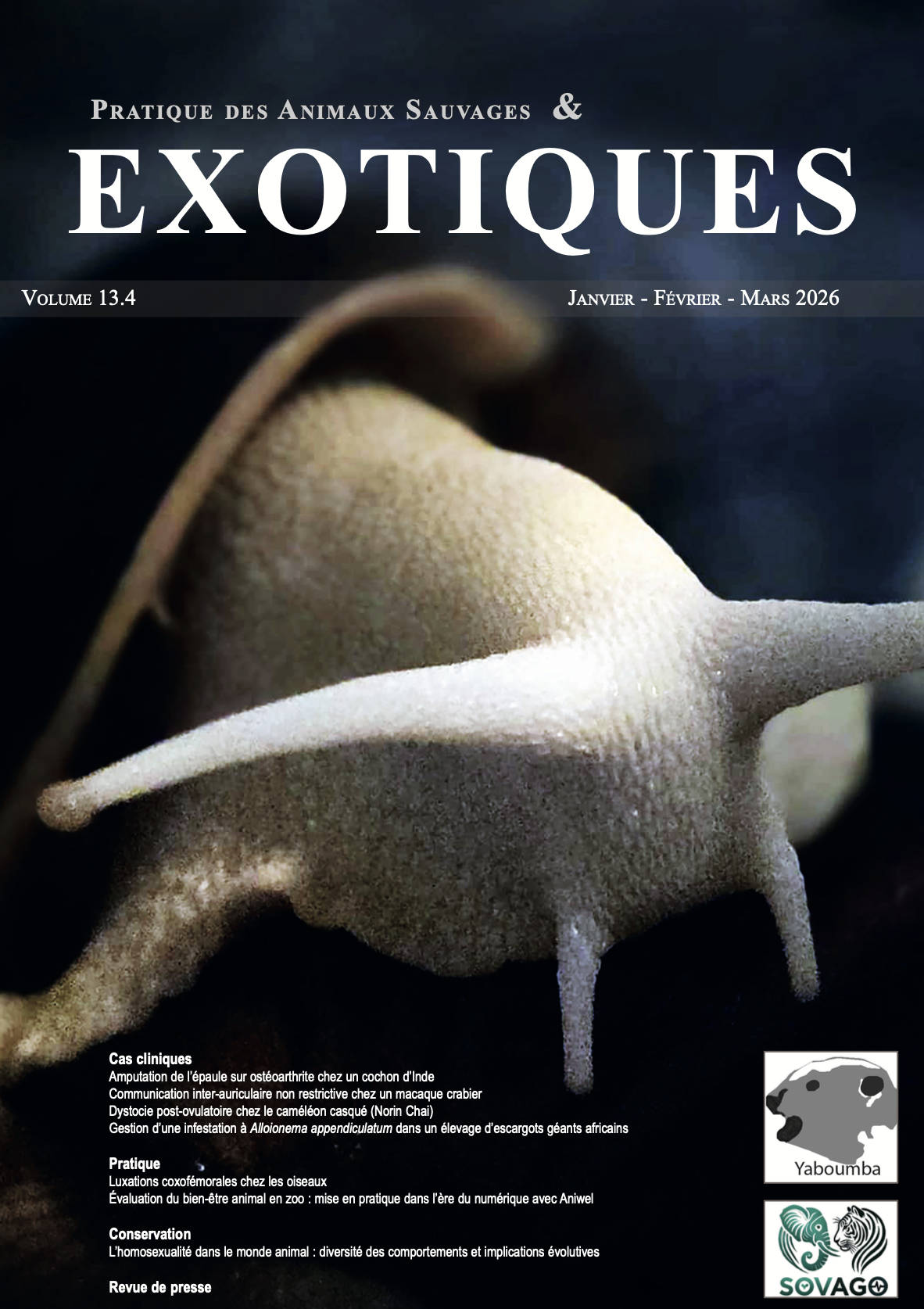                     Afficher Vol. 13 No. 4 (2026): PASE 52
                